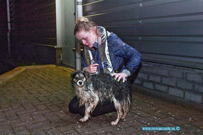 160403523.jpg - DORDRECHT - Op zondag 3 april 2016 werden hulpdiensten opgeroepen voor een vermiste hond in de haven bij de woonboulevard aan de mijlweg in Dordrecht.Duikers van de brandweer en de K.N.R.B werd ook opgeroepen en die vonden de hond uiteindelijk onder een ruimte aan de kade.De verdrietige eigenaresse van de hond kon haar geluk niet op toen ze haar hond weer in haar armen kon sluiten.Deze digitale foto blijft eigendom van FOTOPERSBURO BUSINK. Wij hanteren de voorwaarden van het N.V.F. en N.V.J. Gebruik van deze foto impliceert dat u bekend bent  en akkoord gaat met deze voorwaarden bij publicatie.EB/ETIENNE BUSINK