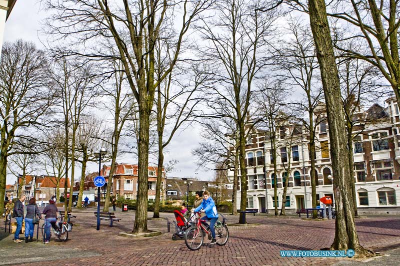 16040901.jpg - DORDRECHT 09 April 2016 De dertien bomen op het Vrieseplein worden maandag gekapt. Ze gaan weg omdat de herinrichting van het plein gaat plaats vinden dat er in de toekomst vooral wat netter uit moet gaan zien. Het trottoir scheidt straks de voetgangers van de fietsers de rest van de huidige indeling blijft; fietspaden aan weerszijden en een pleintje met een lichtmast in het midden. In het najaar worden twaalf nieuwe bomen geplant.NOVUM COPYRIGHT ETIENNE BUSINK