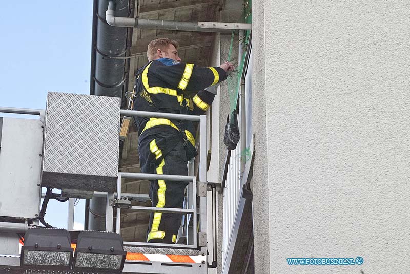 160417568.jpg - DORDRECHT - Op zondag 17 april 2016 werd de hoogwerker van de brandweer Dordrecht opgeroepen voor een vogel in nood aan de prinses Julianaweg in Dordrecht.De duif bleek verstrikt in een net te zitten op drie hoog in een portiek flat.Bewoners onder vinden regelmatig duiven overlast en hebben om de duiven af te schrikken een net gespannen.De duif raakte verstrikt in het net en omdat de bewoners niet thuis waren heeft de brandweer met de hoogwerker het diertje bevrijd.Nadat hij was losgemaakt vloog het beestje z'n vrijheid tegemoed.Deze digitale foto blijft eigendom van FOTOPERSBURO BUSINK. Wij hanteren de voorwaarden van het N.V.F. en N.V.J. Gebruik van deze foto impliceert dat u bekend bent  en akkoord gaat met deze voorwaarden bij publicatie.EB/ETIENNE BUSINK