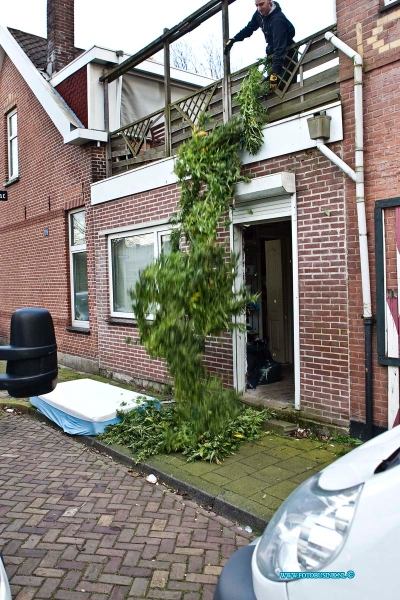 14022504.jpg - FOTOOPDRACHT:Dordrecht:25-02-2014:Er zijn vandaag in de wijk Krispijn diverse wietkwekerijen opgerold door de politie, onder andere in de Tulpstraat en in de Meindert Hobbemastraat. Een speciaal bedrijf vernietigde de hennepplanten. Deze digitale foto blijft eigendom van FOTOPERSBURO BUSINK. Wij hanteren de voorwaarden van het N.V.F. en N.V.J. Gebruik van deze foto impliceert dat u bekend bent  en akkoord gaat met deze voorwaarden bij publicatie.EB/ETIENNE BUSINK