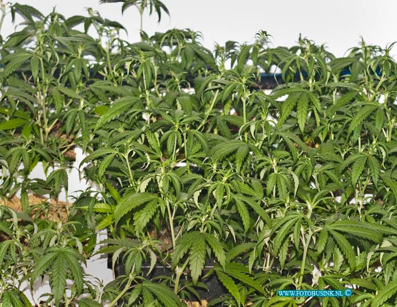 14022702.jpg - FOTOOPDRACHT:Dordrecht:27-02-2014:Op de Goudestein is vanmorgen een hennepkwekerij ontdekt met ongeveer 100 planten door de politie, er zijn 2 mensen aangehouden. De politie heeft de kwekerij laten ontmantelen door een speciaal bedrijft. Dit heeft enkelen uren geduurd.Deze digitale foto blijft eigendom van FOTOPERSBURO BUSINK. Wij hanteren de voorwaarden van het N.V.F. en N.V.J. Gebruik van deze foto impliceert dat u bekend bent  en akkoord gaat met deze voorwaarden bij publicatie.EB/ETIENNE BUSINK