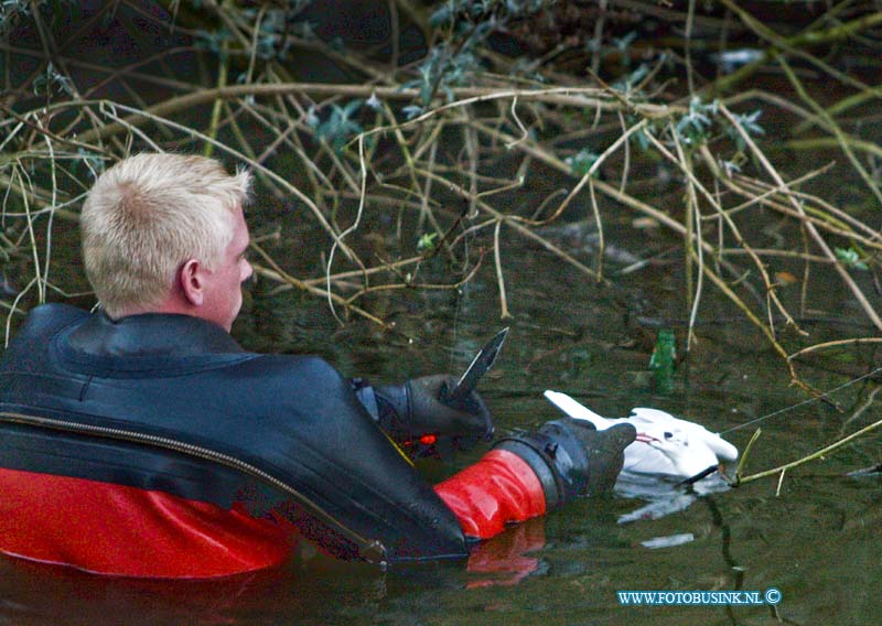 15020803.jpg - FOTOOPDRACHT:Dordrecht:08-02-2015:Een  brandweer duiker heeft aan het begin van zondagavond een meerkoetje gered in de vijver aan het Selma lagerlof-erf die verstrik zat in een vis tuigje met een dobber, dat ook vast kwam te zitten in een tak die over de vijver groeiden. De dieren ambulance naam de meerkoet mee, zo op het eerste gezicht maakte de meerkoek het goed maar moest het vistuigje nog wel uit de vleugels geknoopt worden voor hij weer terug de natuur in kan. Helaas komt het vaker voor dat kinderen of volwassenen die vissen tuigjes in het water achterlaten waar dan vogels soms met de dood in verstrikt raken.  Deze digitale foto blijft eigendom van FOTOPERSBURO BUSINK. Wij hanteren de voorwaarden van het N.V.F. en N.V.J. Gebruik van deze foto impliceert dat u bekend bent  en akkoord gaat met deze voorwaarden bij publicatie.EB/ETIENNE BUSINK