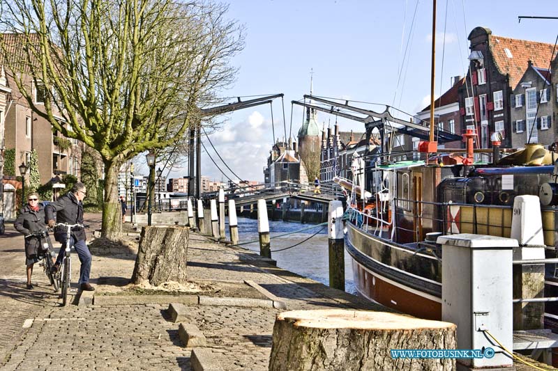 16021909.jpg - DORDRECHT 19 Februari 2016 Wolwevershaven zijn zeven kastanjebomen gekapt. Dat is noodzakelijk door de vervanging van een deel van de kade. In het najaar plant de gemeente zeven kastanjebomen terug, van een soort die minder vatbaar lijkt te zijn voor de kastanjebloedingsziekte.   De aannemer die het werk uitvoert zaagt de bomen op een meter hoogte boven de grond af. De stobben die achterblijven worden verwijderd in maart, bij de start van de kadevervanging. Noodzakelijk door kadevervanging   Een deel van de kade aan de Wolwevershaven verkeert in slechte staat en moet vervangen worden. De zeven bomen die op dat deel van de kade staan kunnen niet behouden blijven. Dat komt door de uitvoeringsmethode van het kadeherstel en de gezondheidstoestand van de bomen.   NOVUM COPYRIGHT ETIENNE BUSINK