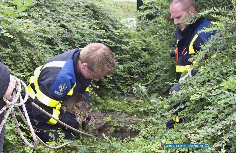 14071302.jpg - FOTOOPDRACHT:Papendrecht:13-07-2014: Aan het Bosweg met de Westkil was een kat in de riool put gevallen, voorbijgangers hoorde kat miauwen en zijn op zoek gegaan in de bosjes trof met de kat in de rioolput aan door dat het putdeksel ontbrak. de brandweer heeft de kat uit zijn benarde positie gehaald. de eigenaar van de kat kwam toevallig op het rumoer af en ontdekte dat het zijn kat was die al 2 dagen vermist was. De kat was in goede gezondheid en werd herenigd met zijn baasje.  Deze digitale foto blijft eigendom van FOTOPERSBURO BUSINK. Wij hanteren de voorwaarden van het N.V.F. en N.V.J. Gebruik van deze foto impliceert dat u bekend bent  en akkoord gaat met deze voorwaarden bij publicatie.EB/ETIENNE BUSINK