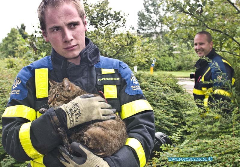 14071303.jpg - FOTOOPDRACHT:Papendrecht:13-07-2014: Aan het Bosweg met de Westkil was een kat in de riool put gevallen, voorbijgangers hoorde kat miauwen en zijn op zoek gegaan in de bosjes trof met de kat in de rioolput aan door dat het putdeksel ontbrak. de brandweer heeft de kat uit zijn benarde positie gehaald. de eigenaar van de kat kwam toevallig op het rumoer af en ontdekte dat het zijn kat was die al 2 dagen vermist was. De kat was in goede gezondheid en werd herenigd met zijn baasje.  Deze digitale foto blijft eigendom van FOTOPERSBURO BUSINK. Wij hanteren de voorwaarden van het N.V.F. en N.V.J. Gebruik van deze foto impliceert dat u bekend bent  en akkoord gaat met deze voorwaarden bij publicatie.EB/ETIENNE BUSINK