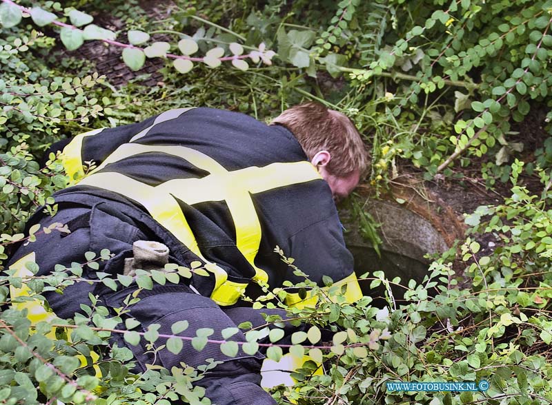 14071305.jpg - FOTOOPDRACHT:Papendrecht:13-07-2014: Aan het Bosweg met de Westkil was een kat in de riool put gevallen, voorbijgangers hoorde kat miauwen en zijn op zoek gegaan in de bosjes trof met de kat in de rioolput aan door dat het putdeksel ontbrak. de brandweer heeft de kat uit zijn benarde positie gehaald. de eigenaar van de kat kwam toevallig op het rumoer af en ontdekte dat het zijn kat was die al 2 dagen vermist was. De kat was in goede gezondheid en werd herenigd met zijn baasje.  Deze digitale foto blijft eigendom van FOTOPERSBURO BUSINK. Wij hanteren de voorwaarden van het N.V.F. en N.V.J. Gebruik van deze foto impliceert dat u bekend bent  en akkoord gaat met deze voorwaarden bij publicatie.EB/ETIENNE BUSINK