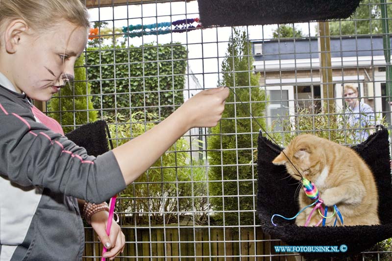 15062002.jpg - DORDRECHT - 20-06-2015 het Pets & Pancakes festival bij Dierentehuis Louterbloemen werd dit jaar ook weer druk bezocht door jong en oud. Er werd volop pannenkoeken genutigd en ook de dieren werden weer reuze verwend, smink en gilter tatoos en de tekenaar deden het reuze goed bij de kinderen. Aanhet einde van dag was er nog de oer gezelige maar altijd rommelige Bingo.Deze digitale foto blijft eigendom van FOTOPERSBURO BUSINK. Wij hanteren de voorwaarden van het N.V.F. en N.V.J. Gebruik van deze foto impliceert dat u bekend bent  en akkoord gaat met deze voorwaarden bij publicatie.EB/ETIENNE BUSINK