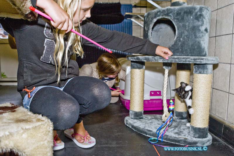 15062004.jpg - DORDRECHT - 20-06-2015 het Pets & Pancakes festival bij Dierentehuis Louterbloemen werd dit jaar ook weer druk bezocht door jong en oud. Er werd volop pannenkoeken genutigd en ook de dieren werden weer reuze verwend, smink en gilter tatoos en de tekenaar deden het reuze goed bij de kinderen. Aanhet einde van dag was er nog de oer gezelige maar altijd rommelige Bingo.Deze digitale foto blijft eigendom van FOTOPERSBURO BUSINK. Wij hanteren de voorwaarden van het N.V.F. en N.V.J. Gebruik van deze foto impliceert dat u bekend bent  en akkoord gaat met deze voorwaarden bij publicatie.EB/ETIENNE BUSINK