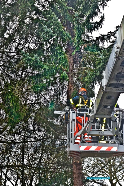 15033118.jpg - FOTOOPDRACHT:Dordrecht:31-03-2015:DORDRECHT - Dinsdag 31-03-2015 Door de storm hadden veel bomen het zwaar, en braken er takken af of vielen zelfs om, de brandweer had het dan ook erg druk mee, om alles veillig op te ruimen. ( Foto: Reeweg Zuid)Deze digitale foto blijft eigendom van FOTOPERSBURO BUSINK. Wij hanteren de voorwaarden van het N.V.F. en N.V.J. Gebruik van deze foto impliceert dat u bekend bent  en akkoord gaat met deze voorwaarden bij publicatie.EB/ETIENNE BUSINK