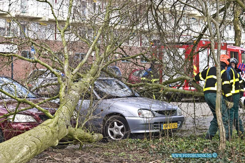 15033124.jpg - FOTOOPDRACHT:Alabsserdam:31-03-2015:ALBLASERDAM - Dinsdag 31-03-2015 Door de storm belande een boom op een auto in de Nicolaas Beetsstraat, de auto raakte totaallos en twee auto raakte zwaarbeschadigd en de brandweer was geruime tijd bezig met de boom klein te zagen. Deze digitale foto blijft eigendom van FOTOPERSBURO BUSINK. Wij hanteren de voorwaarden van het N.V.F. en N.V.J. Gebruik van deze foto impliceert dat u bekend bent  en akkoord gaat met deze voorwaarden bij publicatie.EB/ETIENNE BUSINK