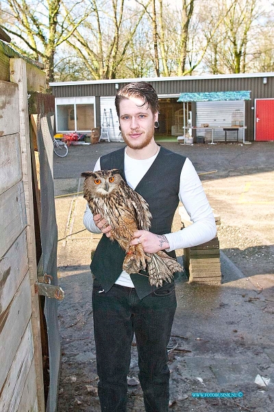 160303509.jpg - DORDRECHT - Op donderdag 3 februari 2016 is de vermiste Oehoe die door vreemde was vrij gelaten nadat ze het hok van de uil open hadden gezet nadat ze over het hek van de vogelopvang waren geklomen.Remco eigenaar van de vogelopvang waar de Oehoe thuis hoort is reuze blij dat zijn uil weer terecht is.Op donderdag kreeg hij een tip van iemand dat de Oehoe was gezien in een parkje achter de Stevensweg in Dordrecht.De Oehoe was flink verzwakt en liet zich deze keer makkelijk vangen.Afgelopen week waren al meerdere pogingen gedaan om de Oehoe te vangen.De Oehoe werd hier en daar wel gezien maar liet zich niet vangen.De oehoe werd afgelopen week in week en dagbladen genoemd met de oproep of iemand de uil had gezien.Dat heeft uiteindelijk zijn vruchten afgeworpen en de Oehoe is weer thuis.Deze digitale foto blijft eigendom van FOTOPERSBURO BUSINK. Wij hanteren de voorwaarden van het N.V.F. en N.V.J. Gebruik van deze foto impliceert dat u bekend bent  en akkoord gaat met deze voorwaarden bij publicatie.EB/ETIENNE BUSINK