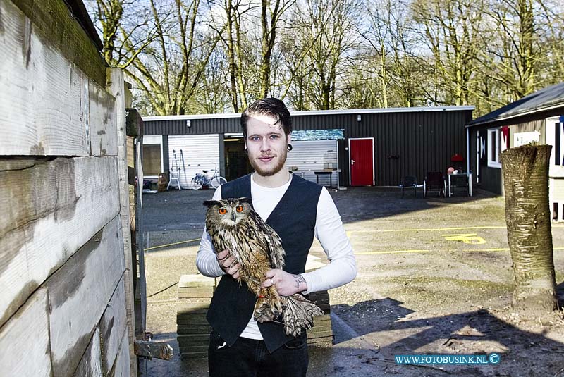 160303511.jpg - DORDRECHT - Op donderdag 3 februari 2016 is de vermiste Oehoe die door vreemde was vrij gelaten nadat ze het hok van de uil open hadden gezet nadat ze over het hek van de vogelopvang waren geklomen.Remco eigenaar van de vogelopvang waar de Oehoe thuis hoort is reuze blij dat zijn uil weer terecht is.Op donderdag kreeg hij een tip van iemand dat de Oehoe was gezien in een parkje achter de Stevensweg in Dordrecht.De Oehoe was flink verzwakt en liet zich deze keer makkelijk vangen.Afgelopen week waren al meerdere pogingen gedaan om de Oehoe te vangen.De Oehoe werd hier en daar wel gezien maar liet zich niet vangen.De oehoe werd afgelopen week in week en dagbladen genoemd met de oproep of iemand de uil had gezien.Dat heeft uiteindelijk zijn vruchten afgeworpen en de Oehoe is weer thuis.Deze digitale foto blijft eigendom van FOTOPERSBURO BUSINK. Wij hanteren de voorwaarden van het N.V.F. en N.V.J. Gebruik van deze foto impliceert dat u bekend bent  en akkoord gaat met deze voorwaarden bij publicatie.EB/ETIENNE BUSINK