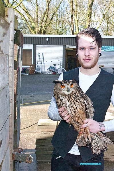 160303513.jpg - DORDRECHT - Op donderdag 3 februari 2016 is de vermiste Oehoe die door vreemde was vrij gelaten nadat ze het hok van de uil open hadden gezet nadat ze over het hek van de vogelopvang waren geklomen.Remco eigenaar van de vogelopvang waar de Oehoe thuis hoort is reuze blij dat zijn uil weer terecht is.Op donderdag kreeg hij een tip van iemand dat de Oehoe was gezien in een parkje achter de Stevensweg in Dordrecht.De Oehoe was flink verzwakt en liet zich deze keer makkelijk vangen.Afgelopen week waren al meerdere pogingen gedaan om de Oehoe te vangen.De Oehoe werd hier en daar wel gezien maar liet zich niet vangen.De oehoe werd afgelopen week in week en dagbladen genoemd met de oproep of iemand de uil had gezien.Dat heeft uiteindelijk zijn vruchten afgeworpen en de Oehoe is weer thuis.Deze digitale foto blijft eigendom van FOTOPERSBURO BUSINK. Wij hanteren de voorwaarden van het N.V.F. en N.V.J. Gebruik van deze foto impliceert dat u bekend bent  en akkoord gaat met deze voorwaarden bij publicatie.EB/ETIENNE BUSINK