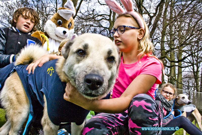 16032601.jpg - DORDRECHT 26 Maart 2016 zo.n 75 kinderen kwamen Pasen vieren met de Asieldieren. veel traktaties voor de asieldieren werden ingeleverd. ook werden veel kinderen tot Paashaas geschminkt. Ook de spannende Mega Crazy Egg Race was druk bezocht. er werden zelfs enkelen dieren vonden een nieuwe tehuis.Deze digitale foto blijft eigendom van FOTOPERSBURO BUSINK. Wij hanteren de voorwaarden van het N.V.F. en N.V.J. Gebruik van deze foto impliceert dat u bekend bent  en akkoord gaat met deze voorwaarden bij publicatie.EB/ETIENNE BUSINK